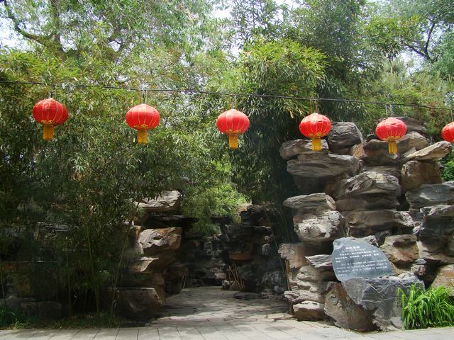 DSC05249.JPG