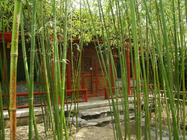 DSC05243.JPG