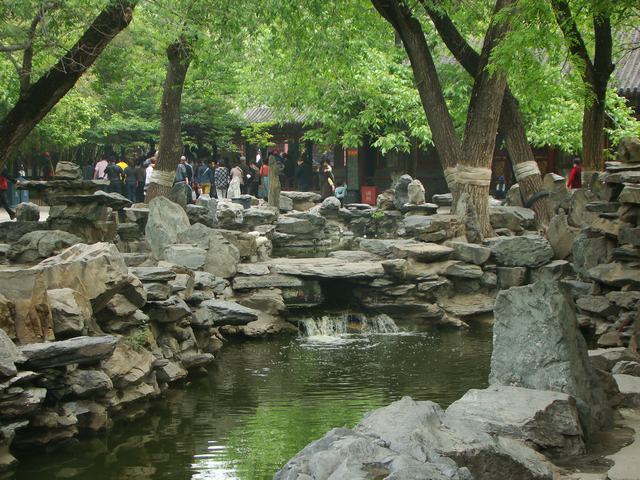DSC05239.JPG