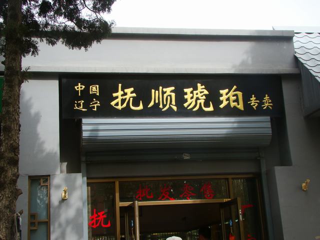 DSC05267.JPG