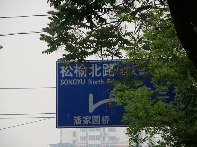 DSC05048.JPG