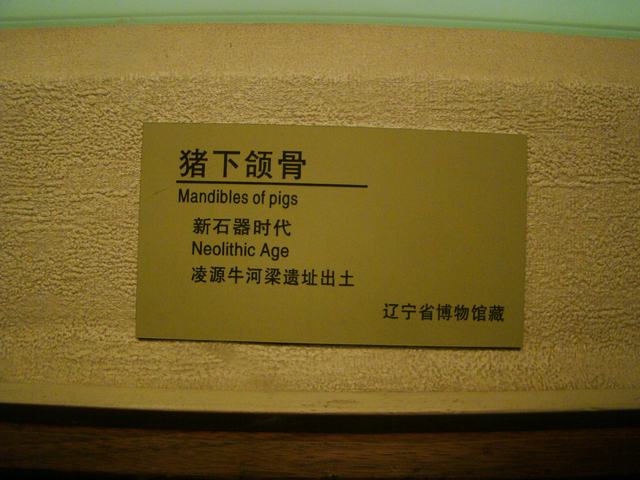 DSC04771.JPG