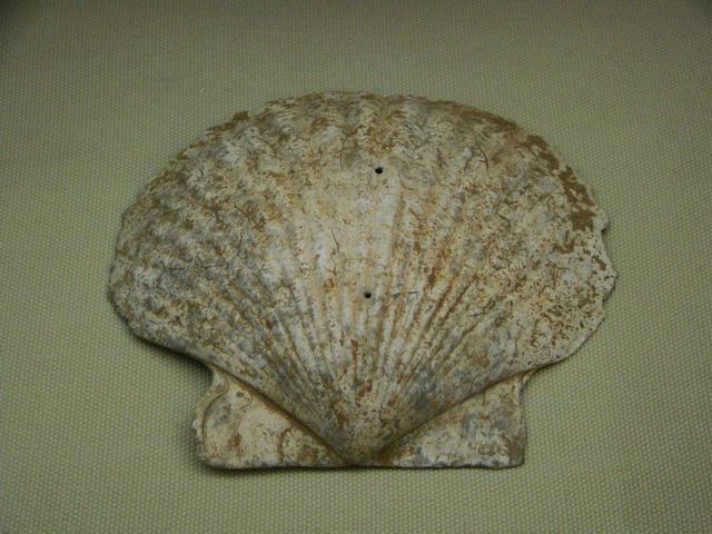 DSC05485.JPG