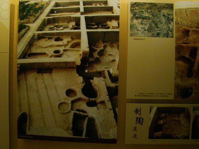 DSC05528.JPG