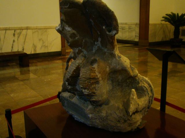 DSC05440.JPG