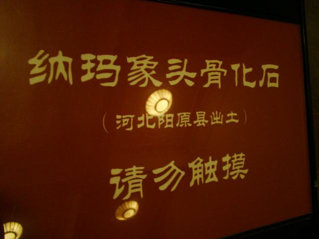 DSC05438.JPG