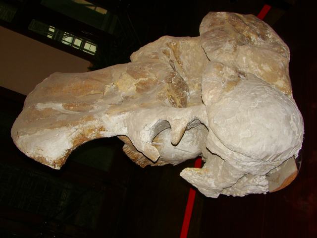 DSC05445.JPG