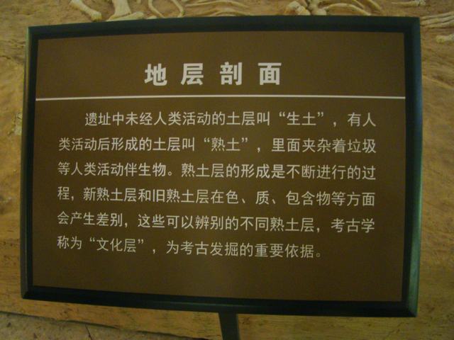 DSC05581.JPG