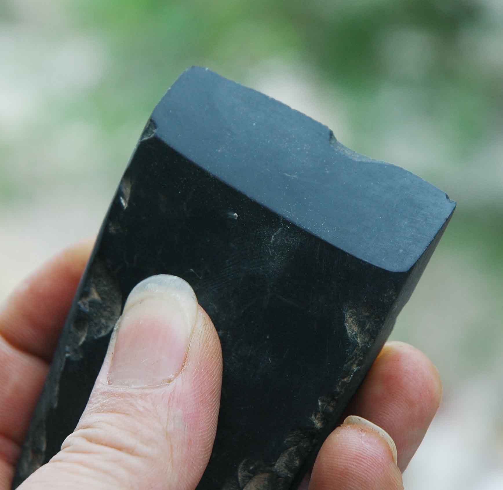 DSC_3575.jpg