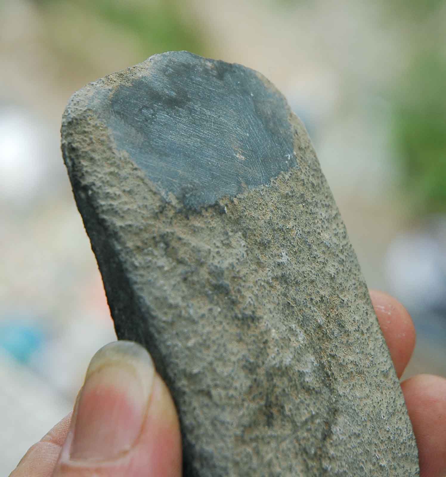 DSC_3577.jpg