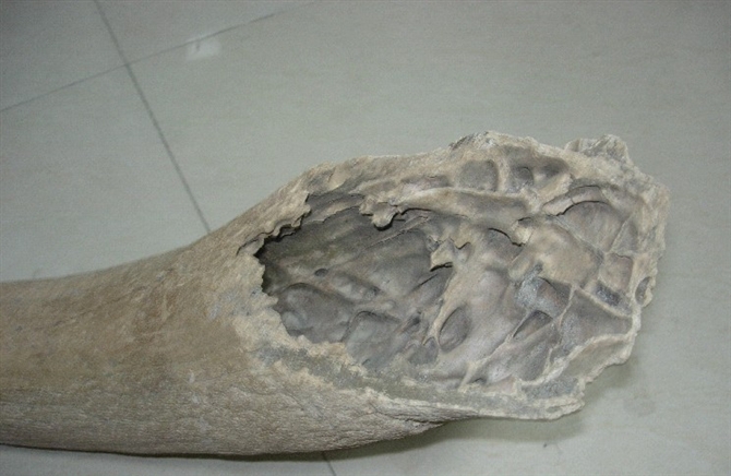 http_imgloadCAE6CMM5.jpg