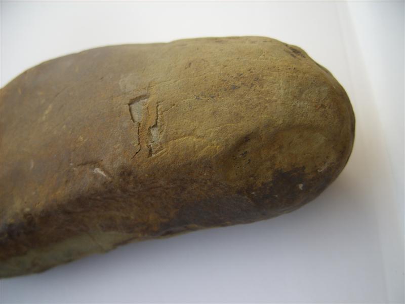 斧后部