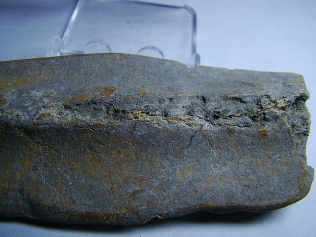 DSC05927.JPG