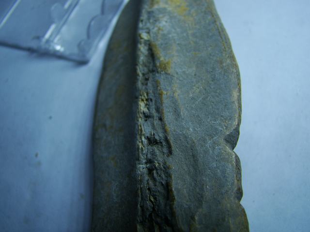 DSC05937.JPG