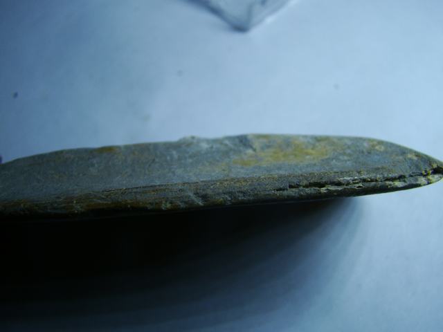 DSC05936.JPG