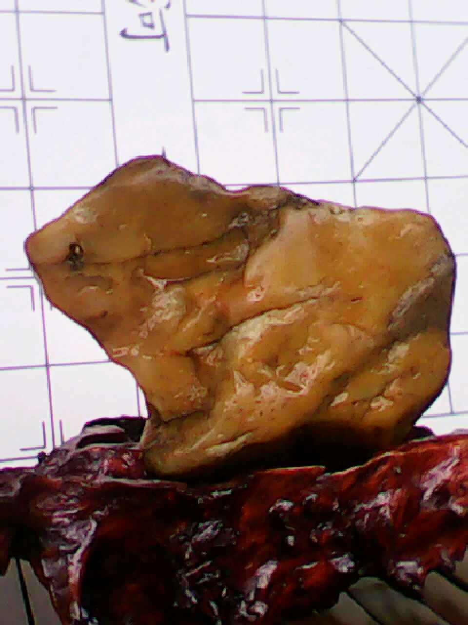 110524004.jpg