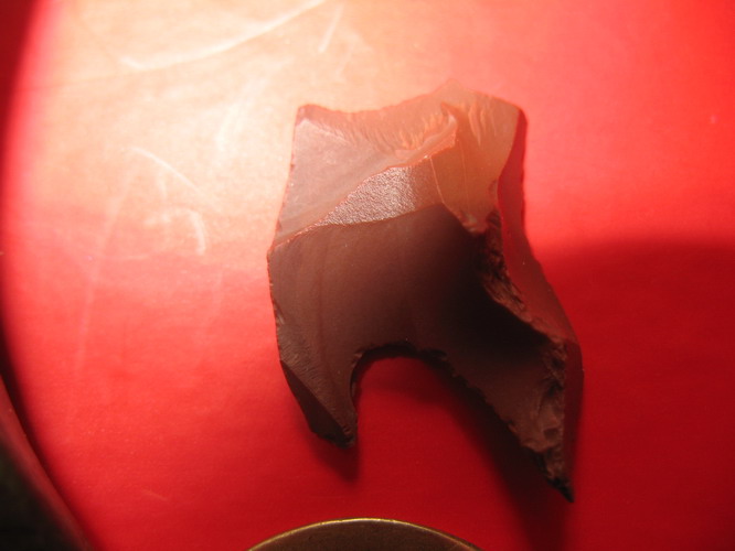 照片 019.jpg