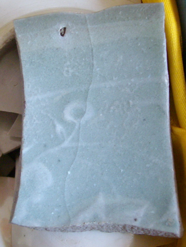 ALIM9557-1-1.jpg