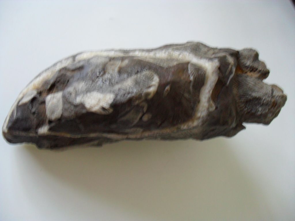 SAM_0052.JPG