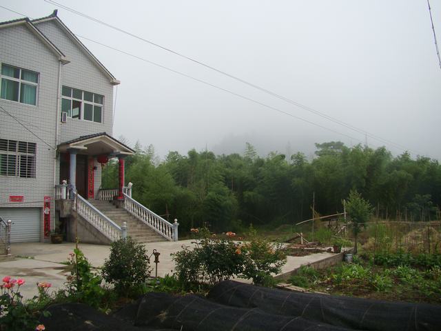 DSC06533.JPG