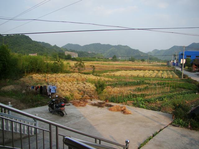 DSC06711.JPG