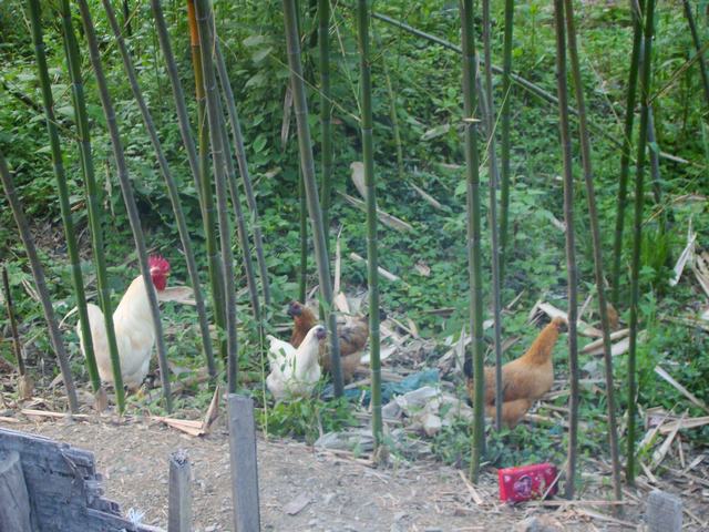 DSC06757.JPG