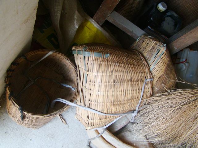 DSC06742.JPG