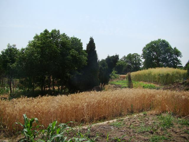 DSC06134.JPG