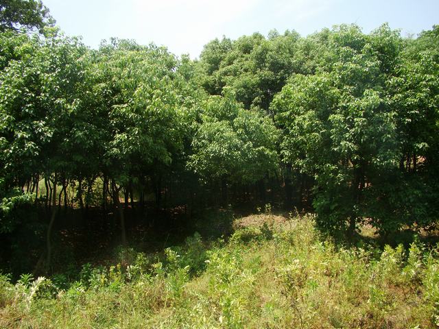 DSC06179.JPG