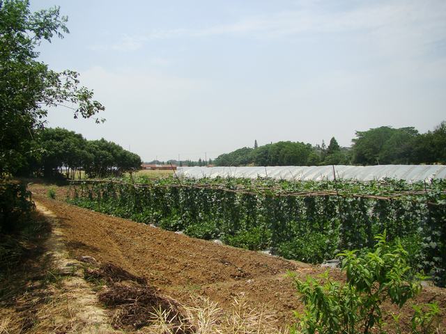 DSC06197.JPG