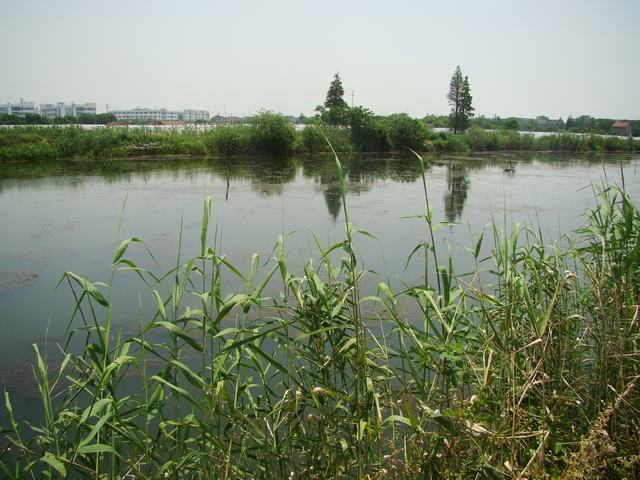 DSC06193.JPG
