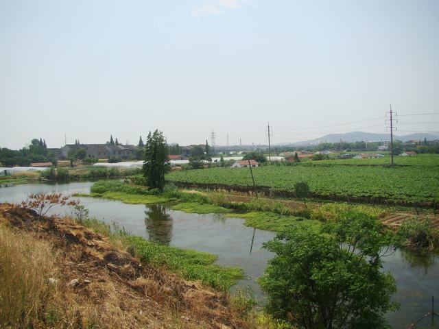 DSC06202.JPG