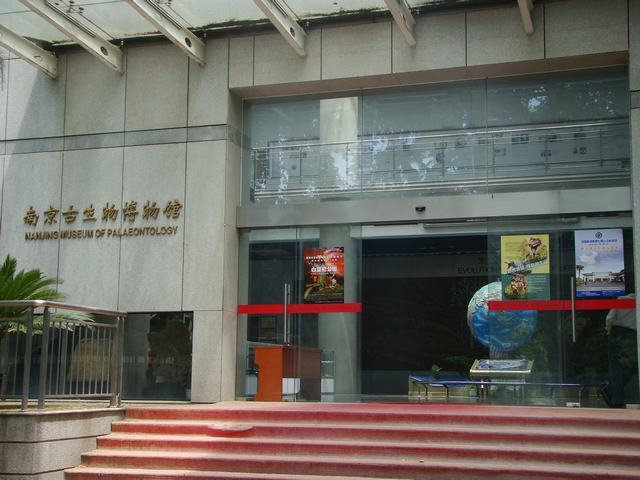 DSC07054.JPG