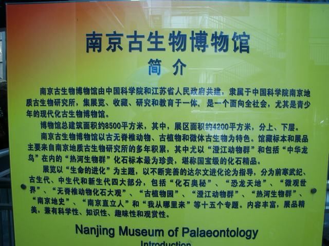 DSC07057.JPG