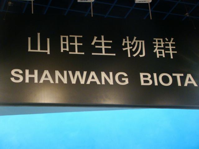 DSC07066.JPG