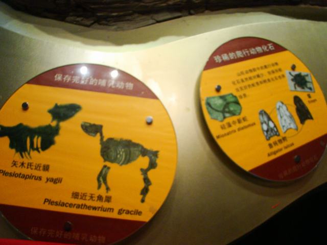 DSC07064.JPG