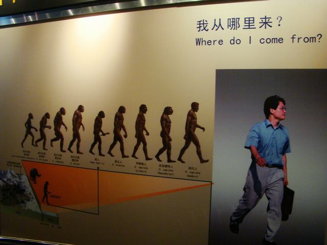 DSC07062.JPG
