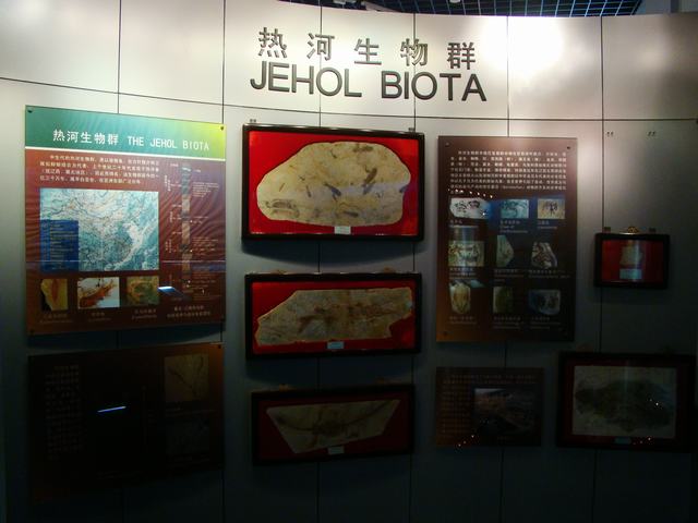 DSC07068.JPG