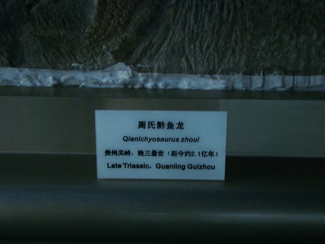 DSC07076.JPG