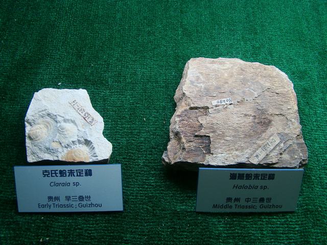DSC07085.JPG