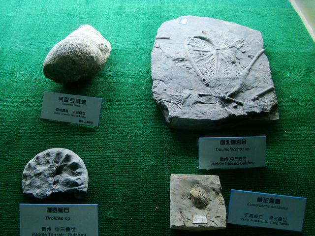 DSC07083.JPG