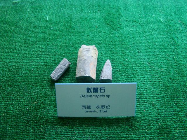 DSC07091.JPG