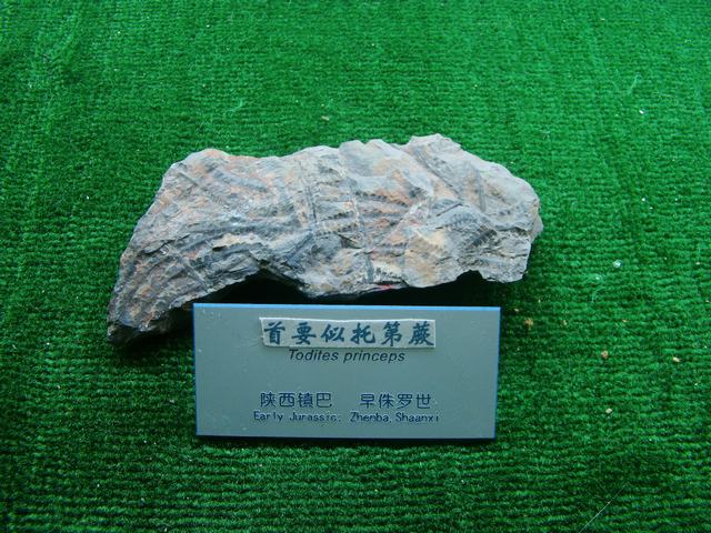 DSC07092.JPG