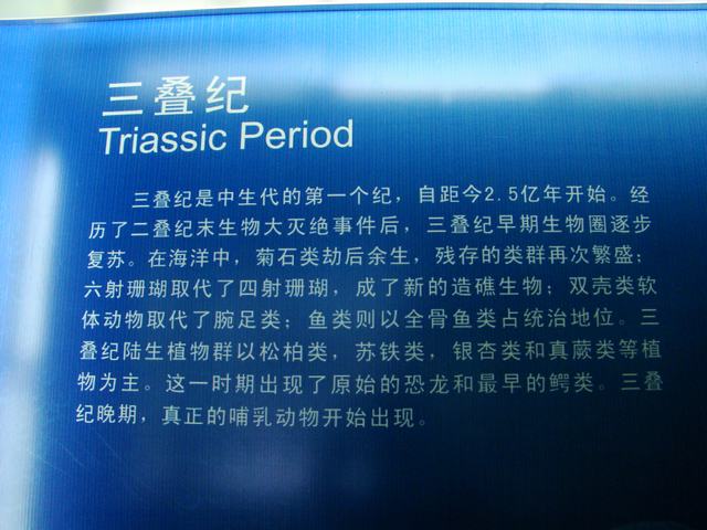 DSC07081.JPG