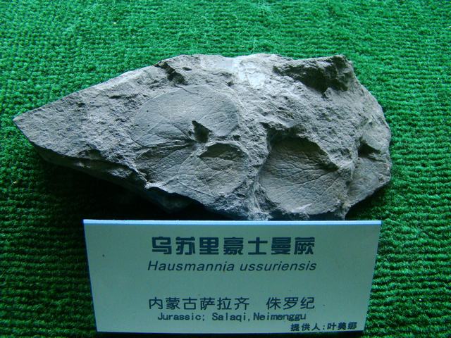 DSC07094.JPG
