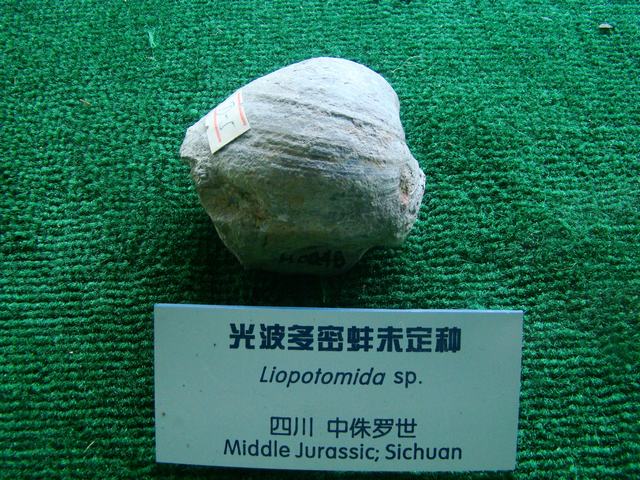 DSC07093.JPG