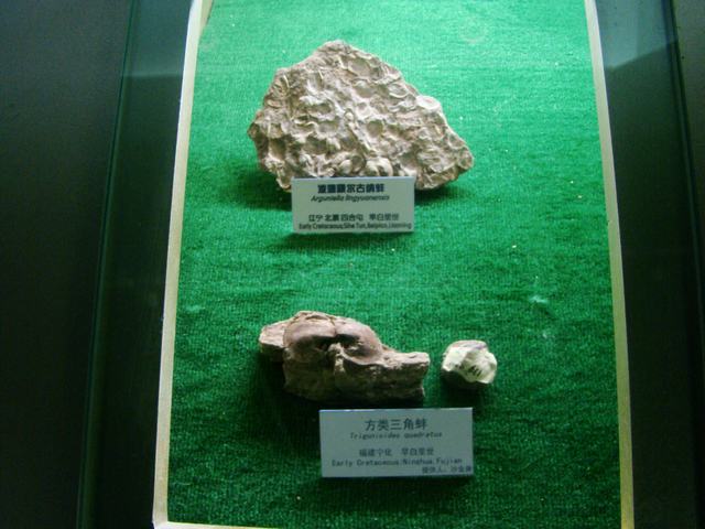 DSC07103.JPG