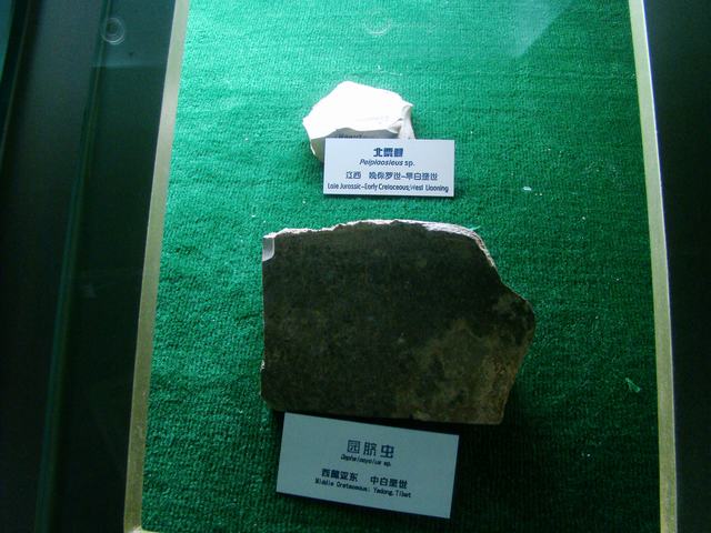 DSC07104.JPG
