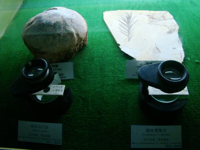 DSC07101.JPG
