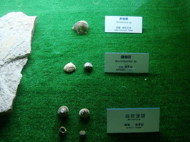 DSC07097.JPG